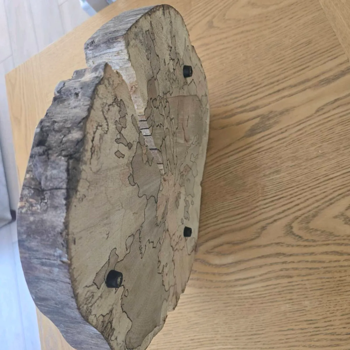 Spalted beech slices - Image 4