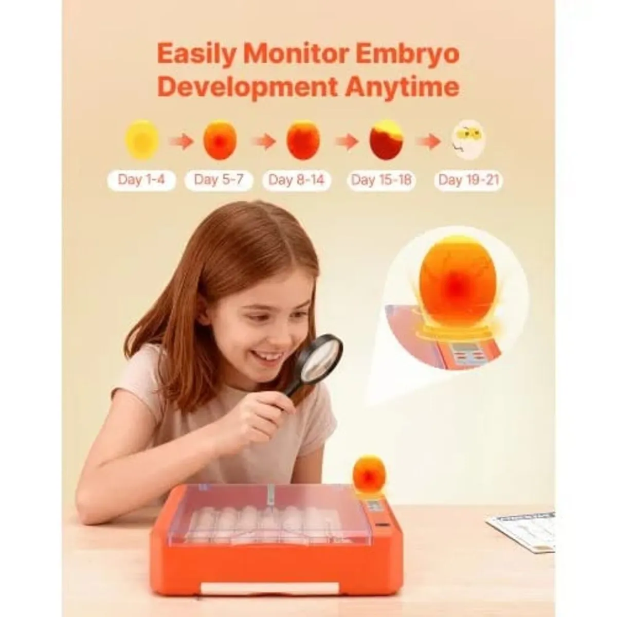36 Egg Incubator, Automatic Egg Turner with LED Ca - Image 4