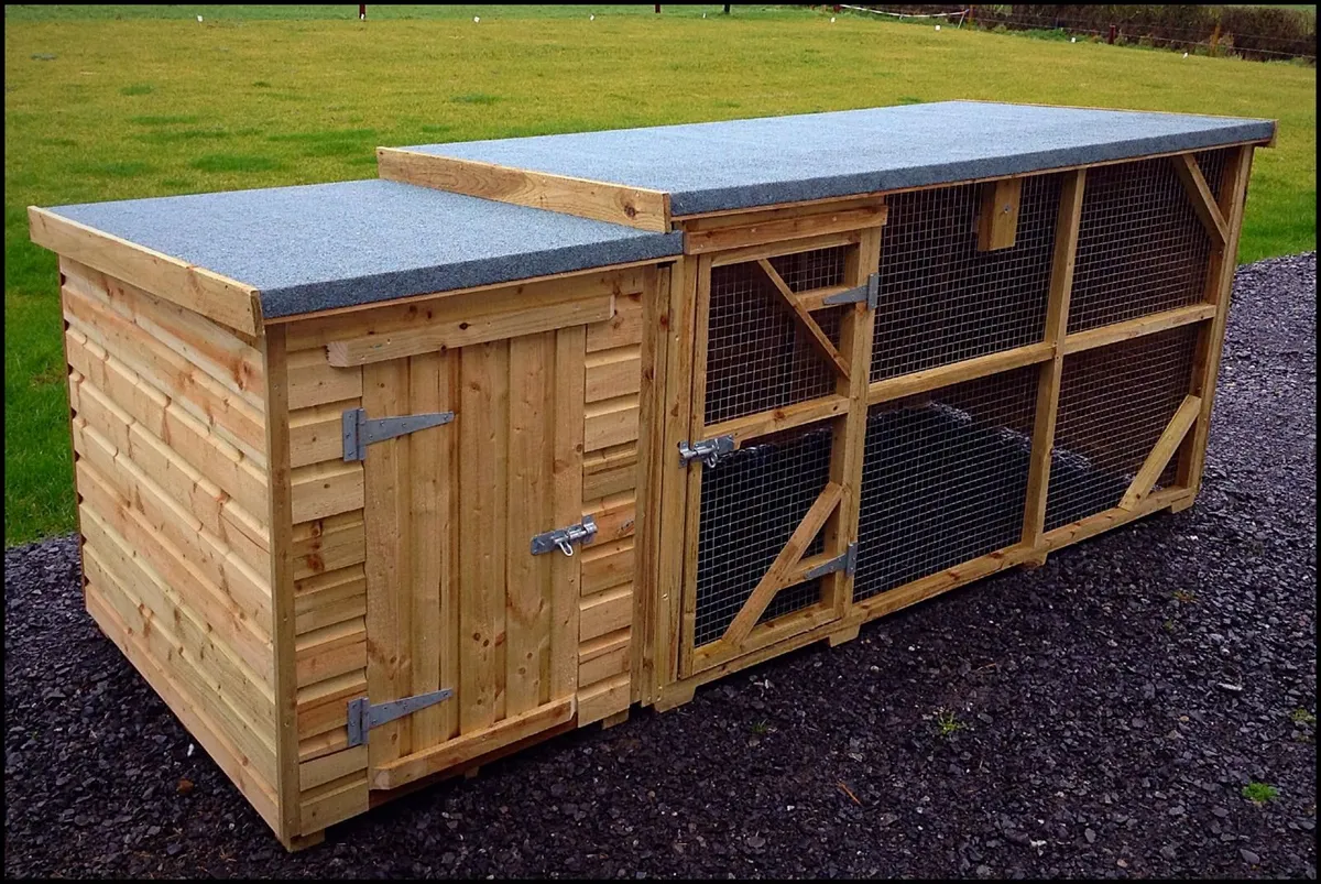 Dog Kennel & Enclosures - Image 4