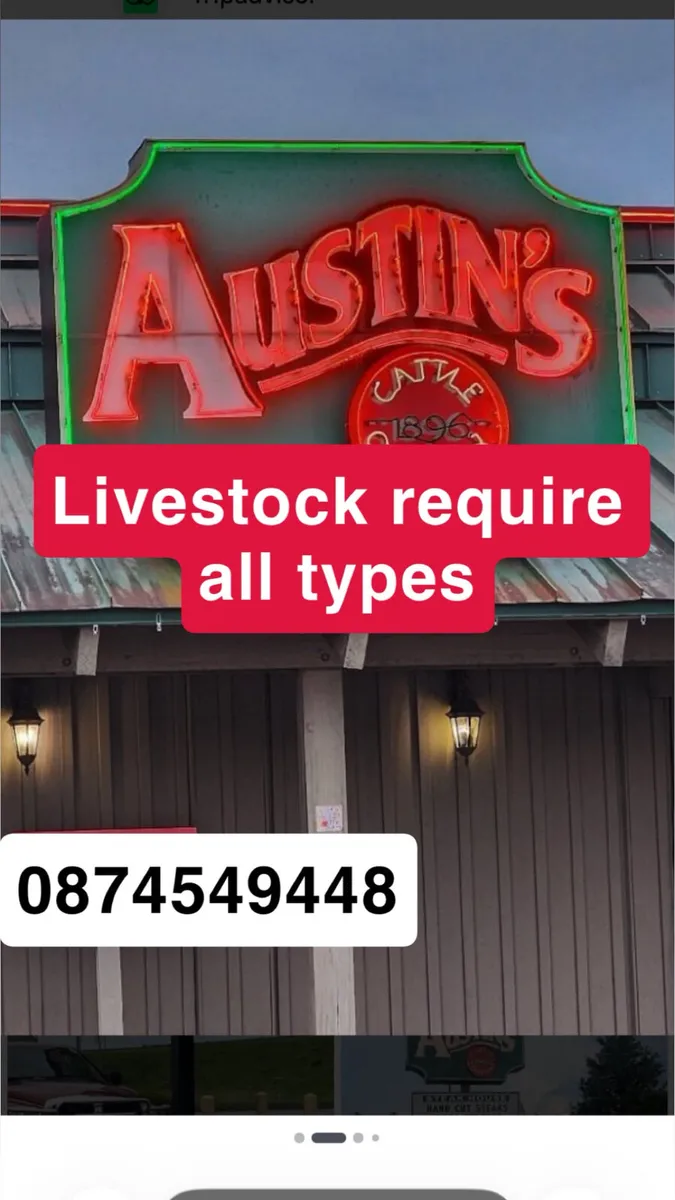 We buy all types of culls