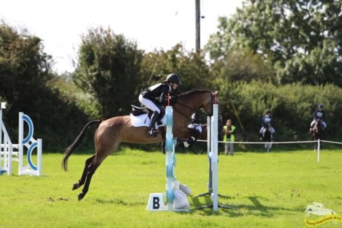 Show Jumper All Rounder 148 Pony 1.10m - Image 3