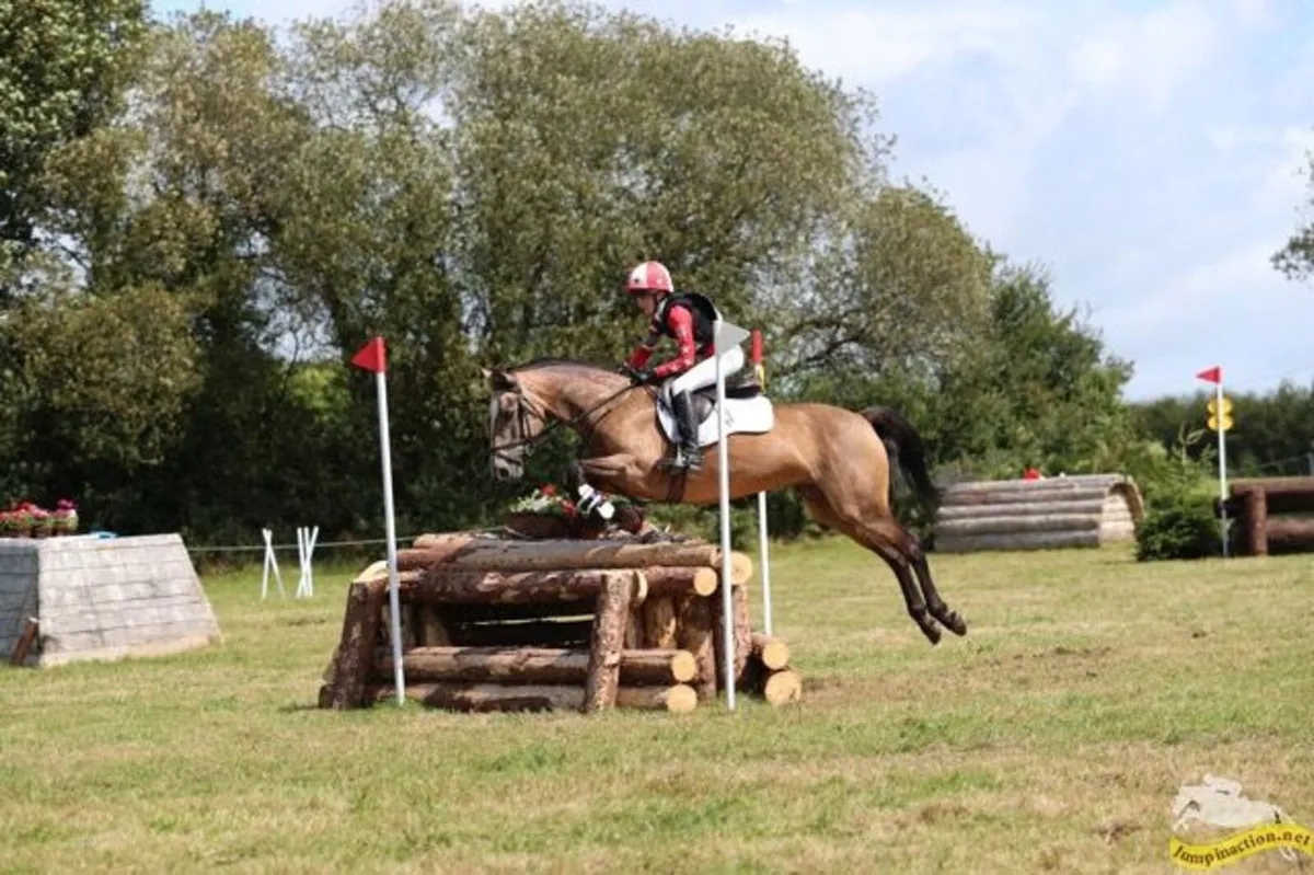 Show Jumper All Rounder 148 Pony 1.10m - Image 1