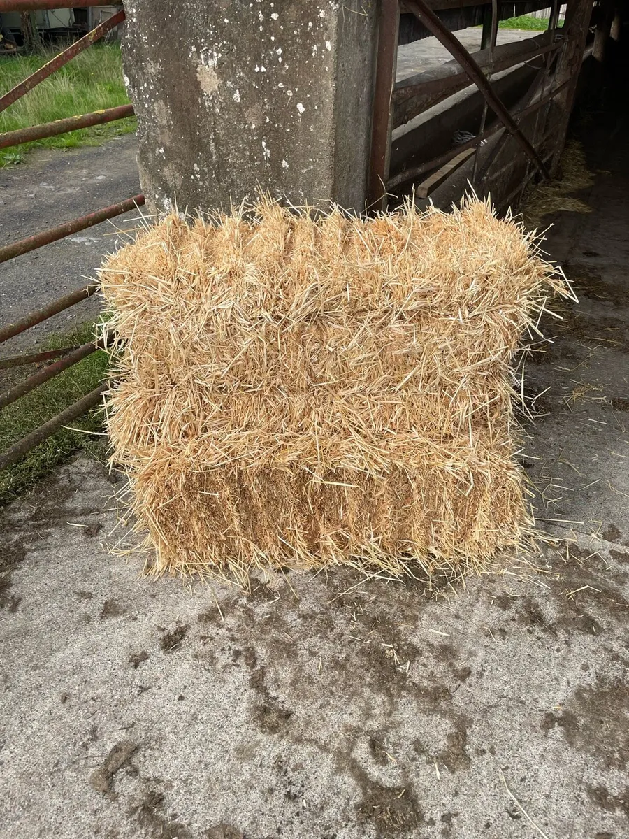 Small square straw bales