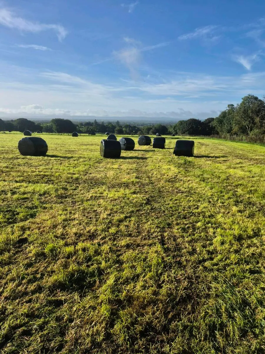 Silage bales - Image 1