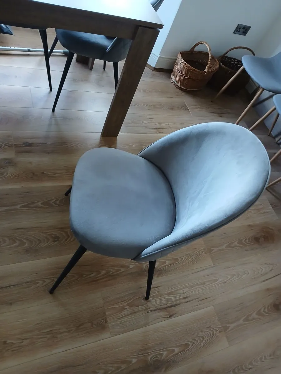 Dining room chairs - Image 1