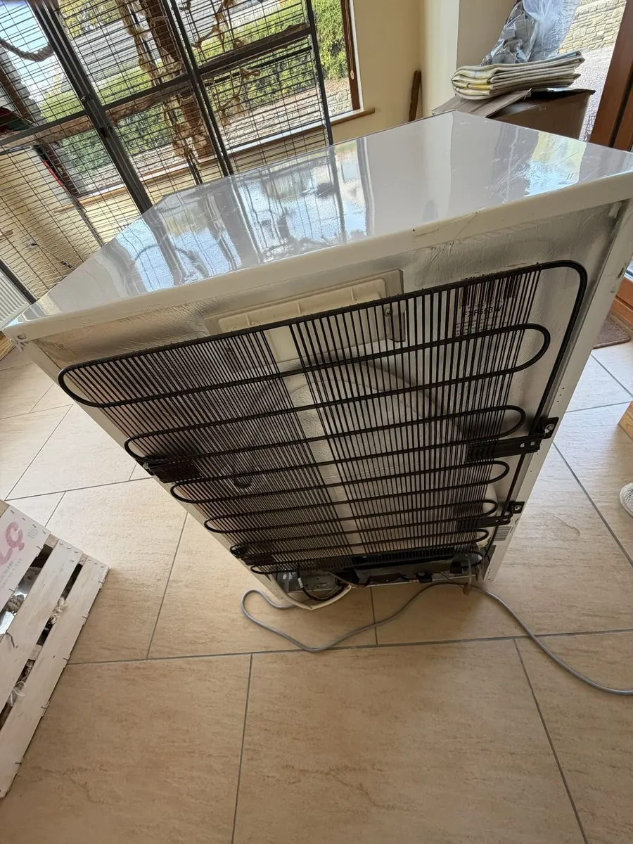 Beko Freezer - Image 3