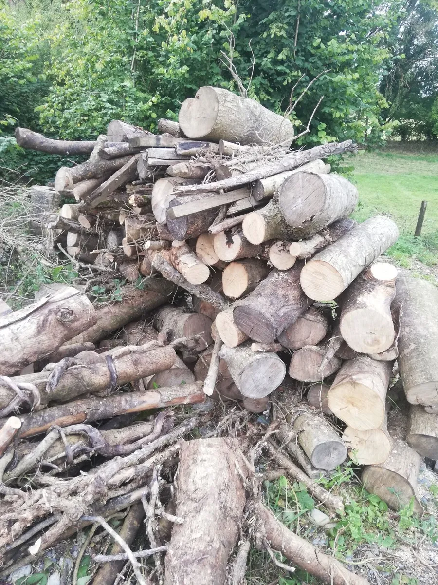 Fire wood