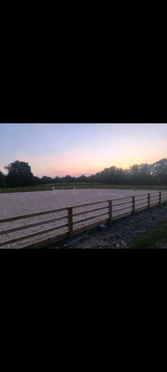 Backing, schooling, rehabilitation - Image 2