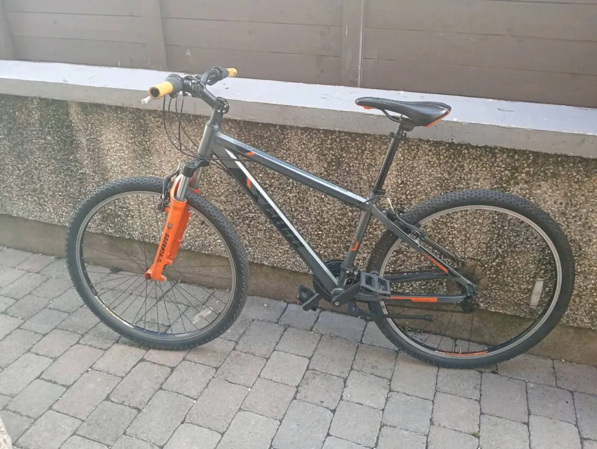 Adult  bike - Image 2