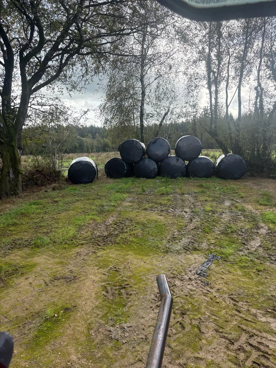 Bales silage - Image 2