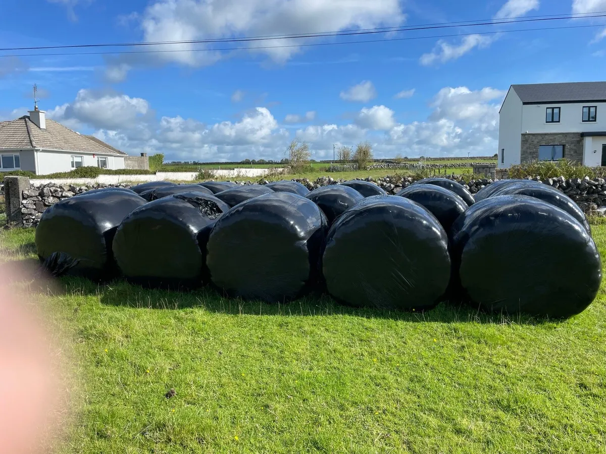 Silage