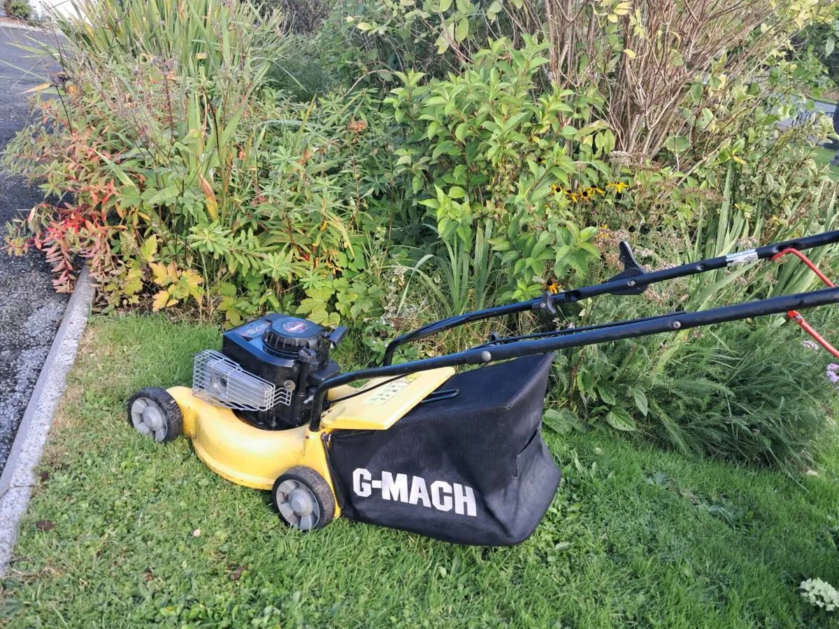 Lawnmower - Image 3