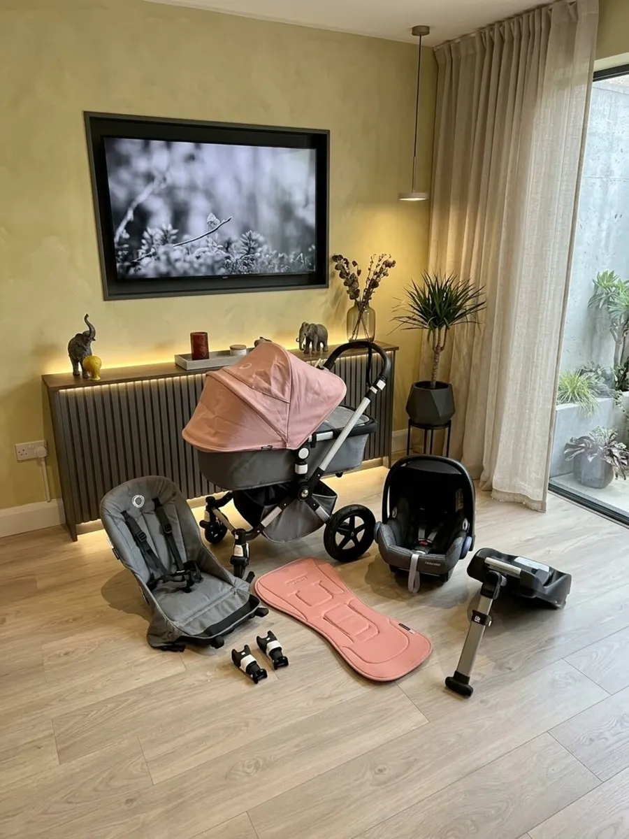 Immaculate Bugaboo Cameleon - Image 1