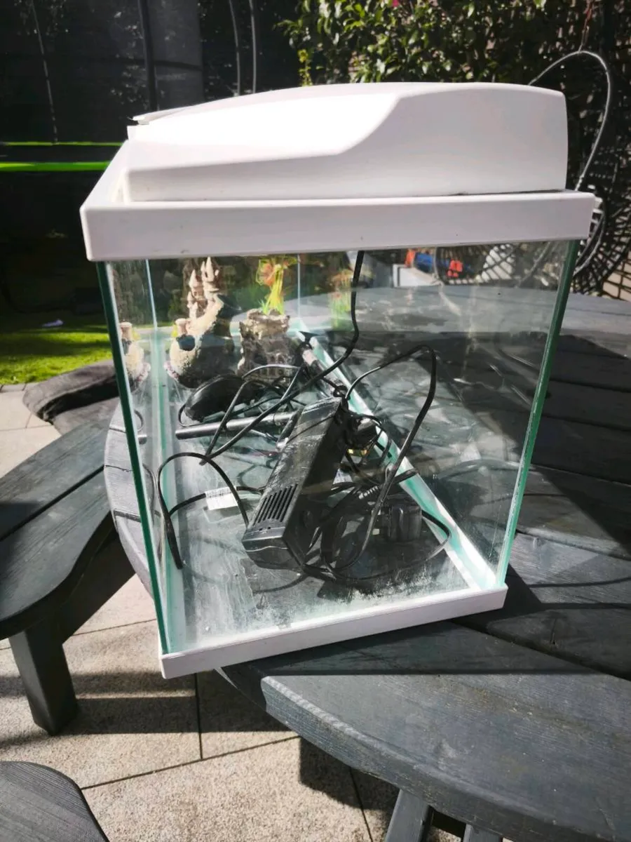 Fish Tank - Image 2