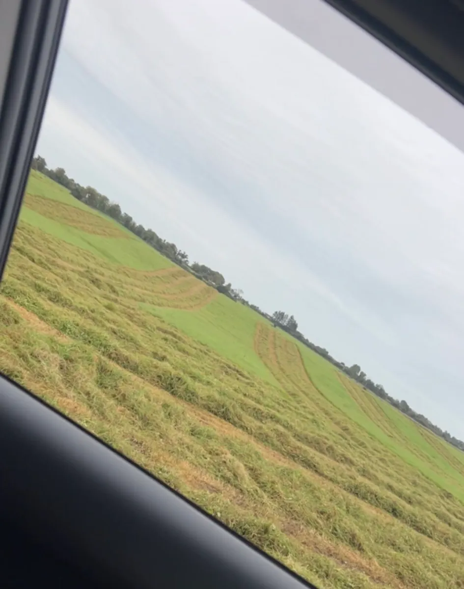Silage Bales