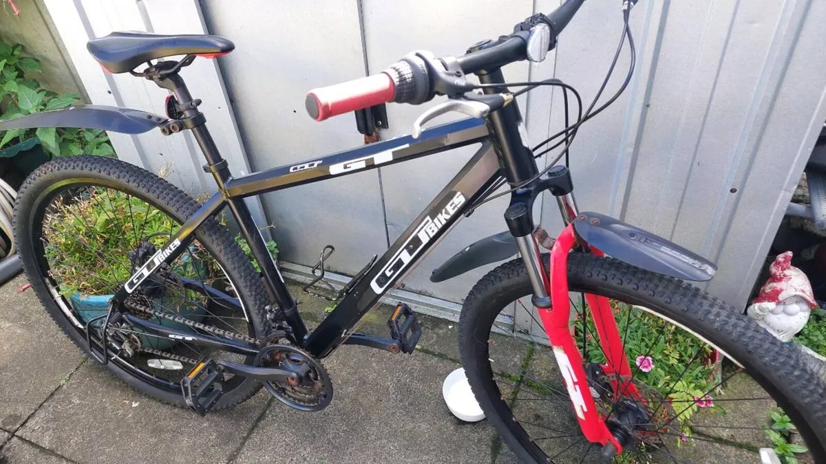 Team Mountain Bike Large Frame Disc Brakes - Image 1