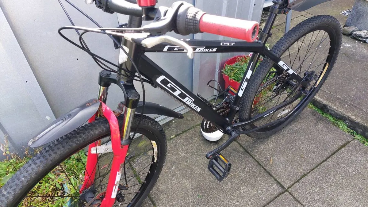 Team Mountain Bike Large Frame Disc Brakes - Image 2
