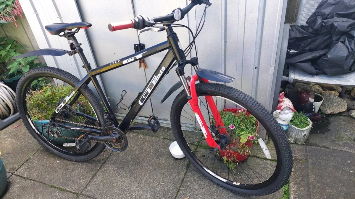Team Mountain Bike Large Frame Disc Brakes - Image 3