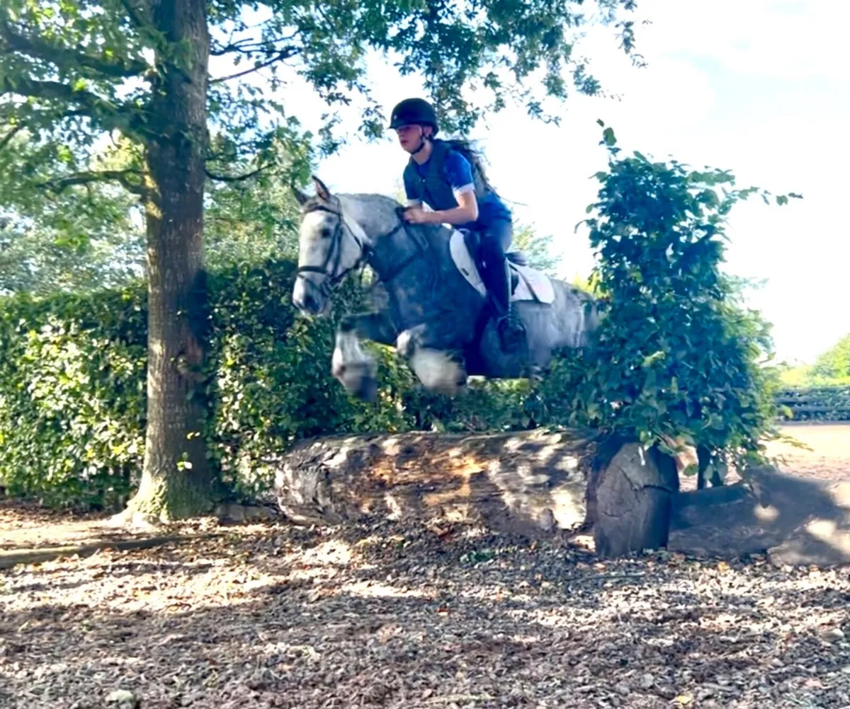 Super Cob - Image 1