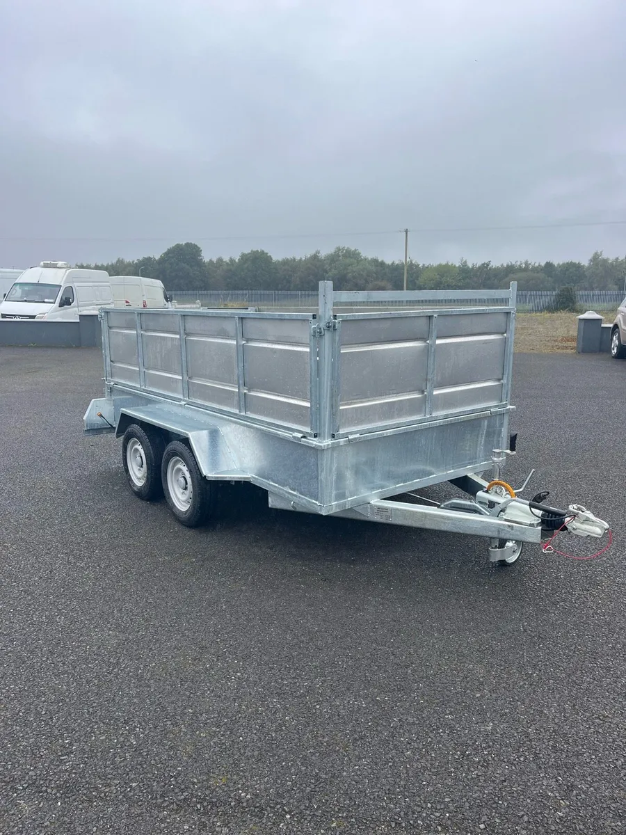 MAE 10 x 5 Sheep Trailer - Image 2