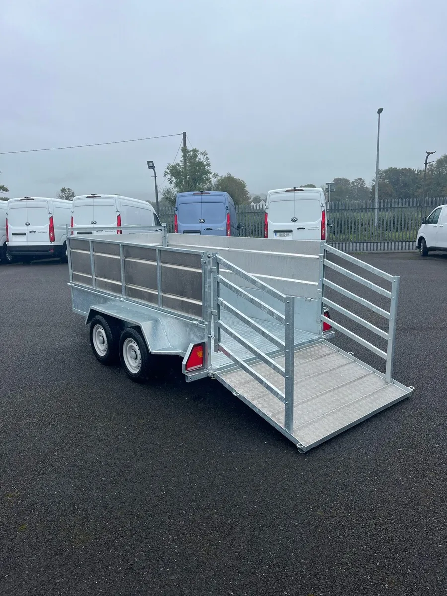 MAE 10 x 5 Sheep Trailer - Image 3