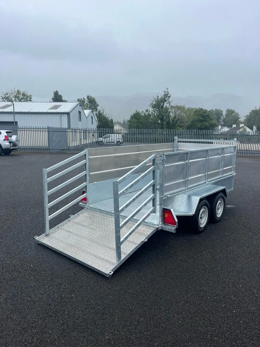 MAE 10 x 5 Sheep Trailer - Image 4