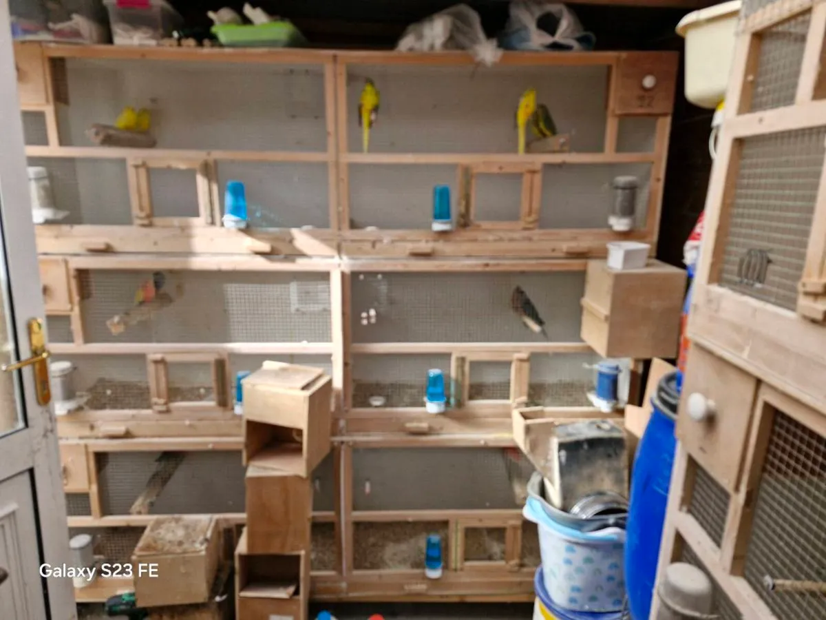 Nice tidy Bird cage flights - Image 2