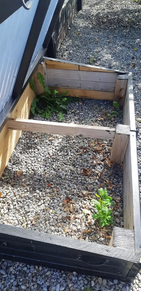 Garden Cold Frame - Image 3