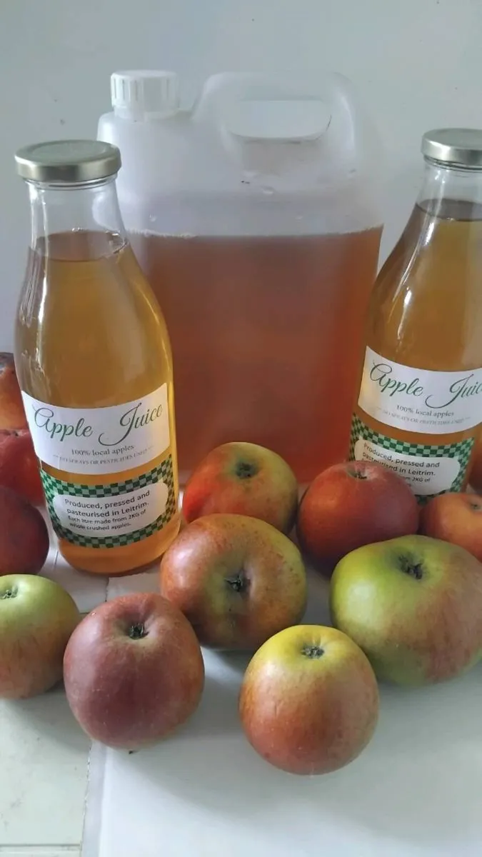 Cider Apples For Sale - Image 3