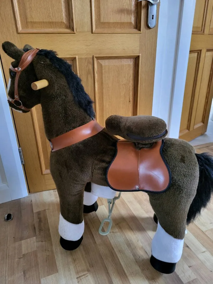 Pony cycle - Image 3