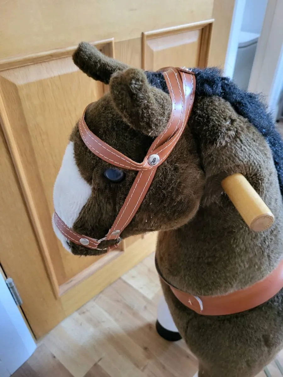 Pony cycle - Image 4