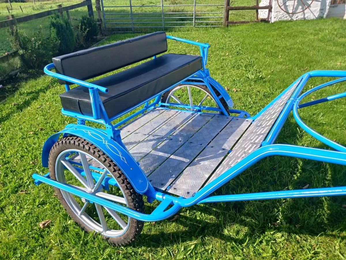 Road cart / sulkie - Image 2
