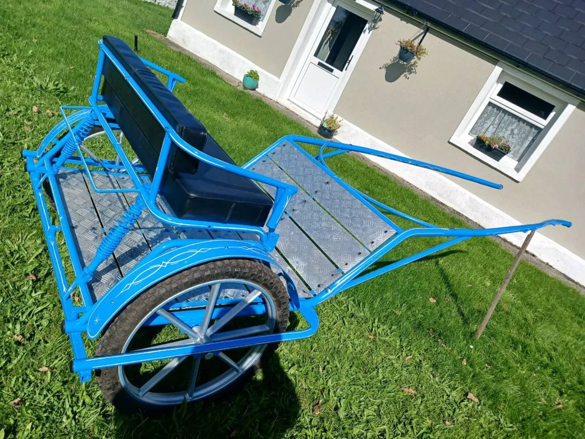 Road cart / sulkie - Image 3
