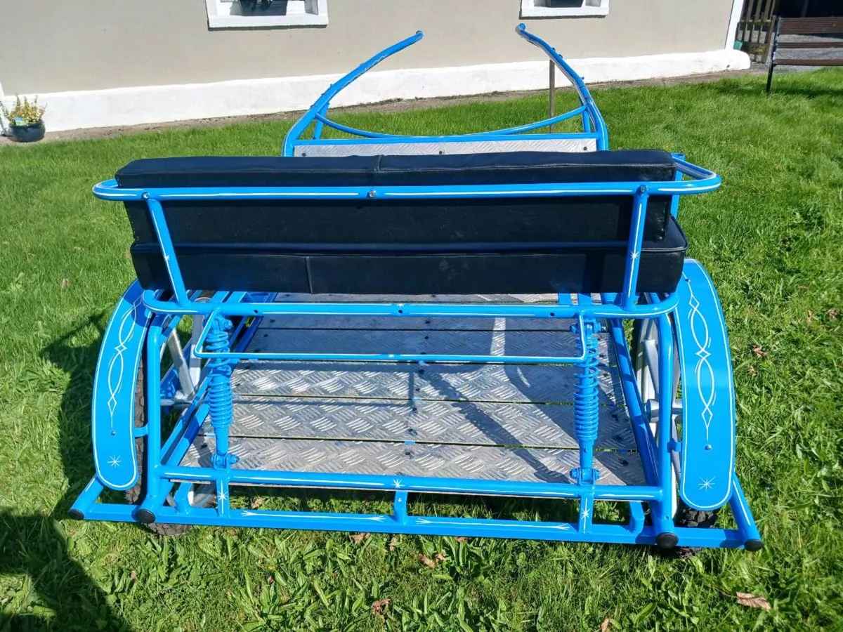 Road cart / sulkie - Image 4