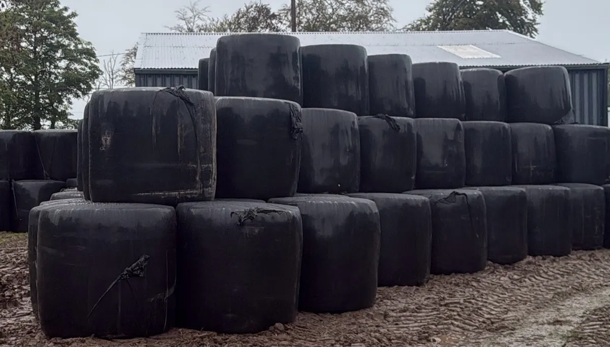Haylage