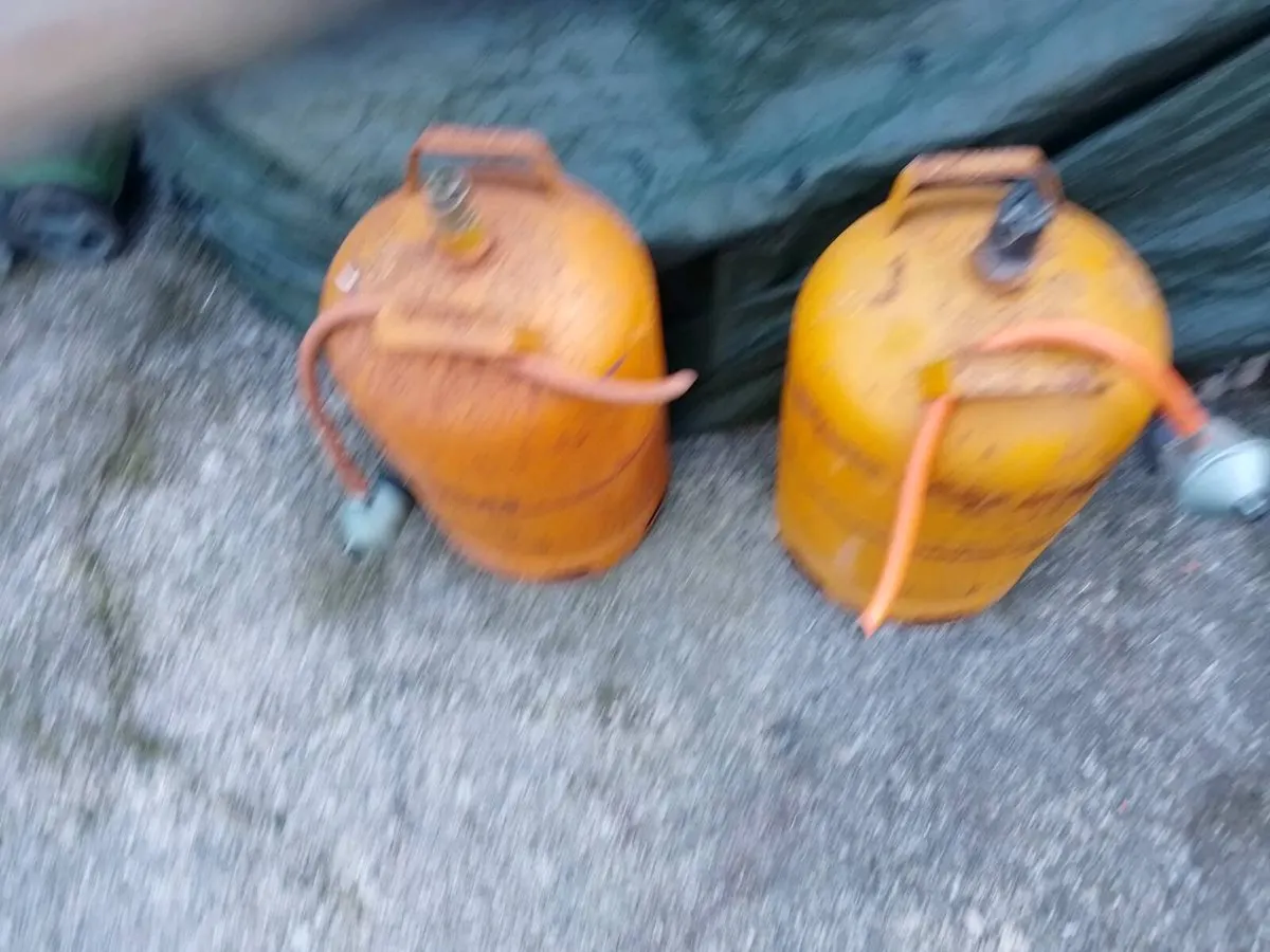 Two gas bottles and regulators - Image 2