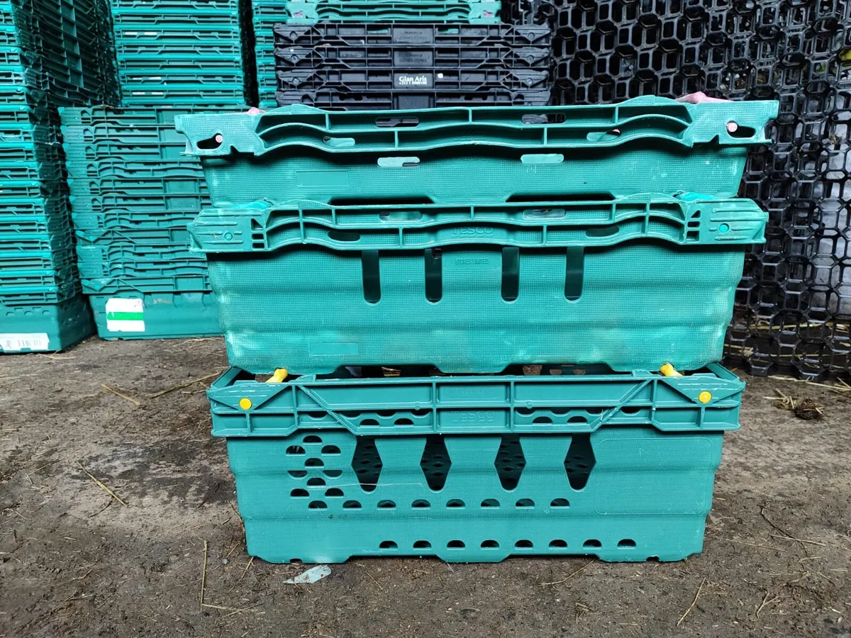 Plastic storage crates - Image 3
