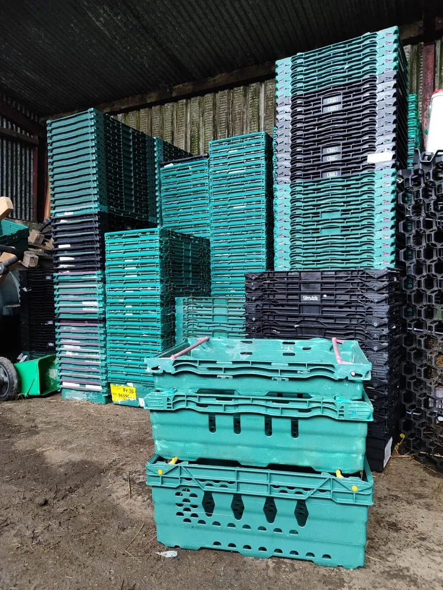 Plastic storage crates - Image 4