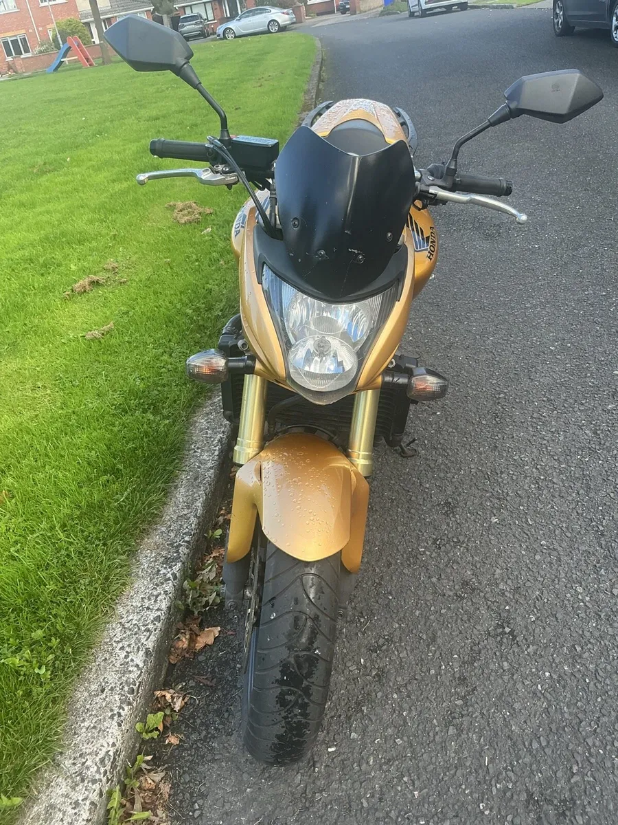 Honda hornet 600 - Image 3