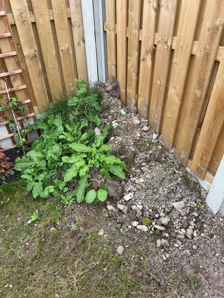 Topsoil for free - Image 1