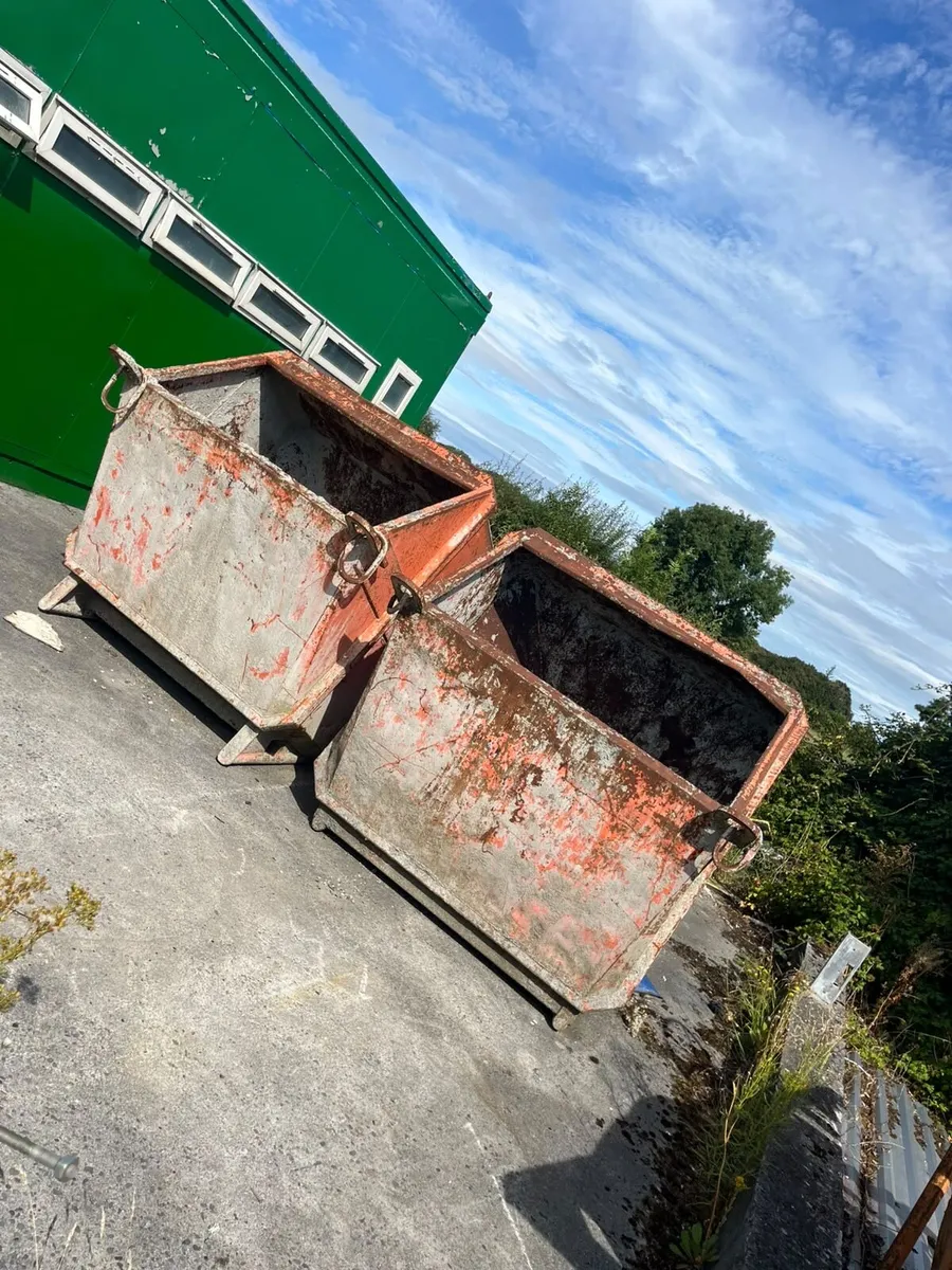 Skips - Image 1
