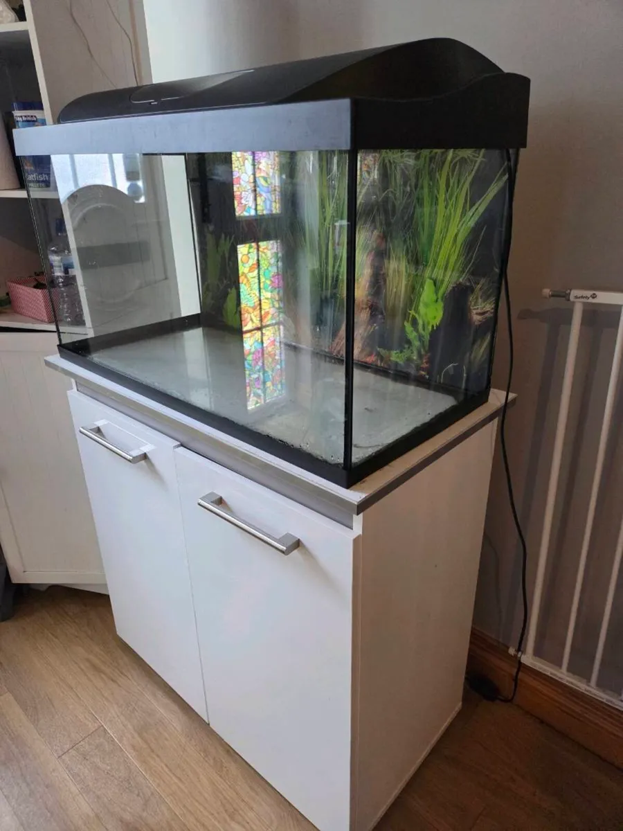 Aquarium  105L with cabinet *full setup* - Image 1