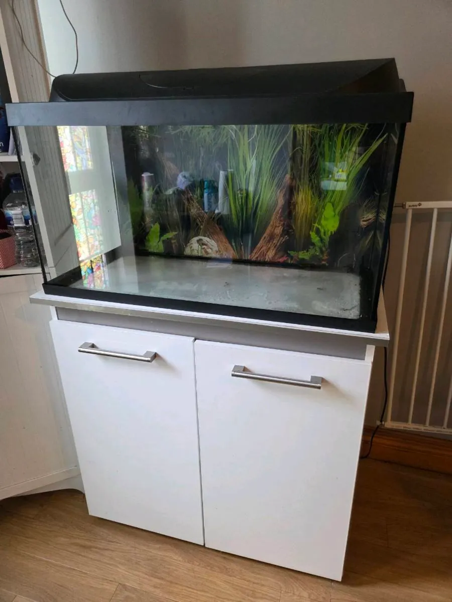 Aquarium  105L with cabinet *full setup* - Image 2