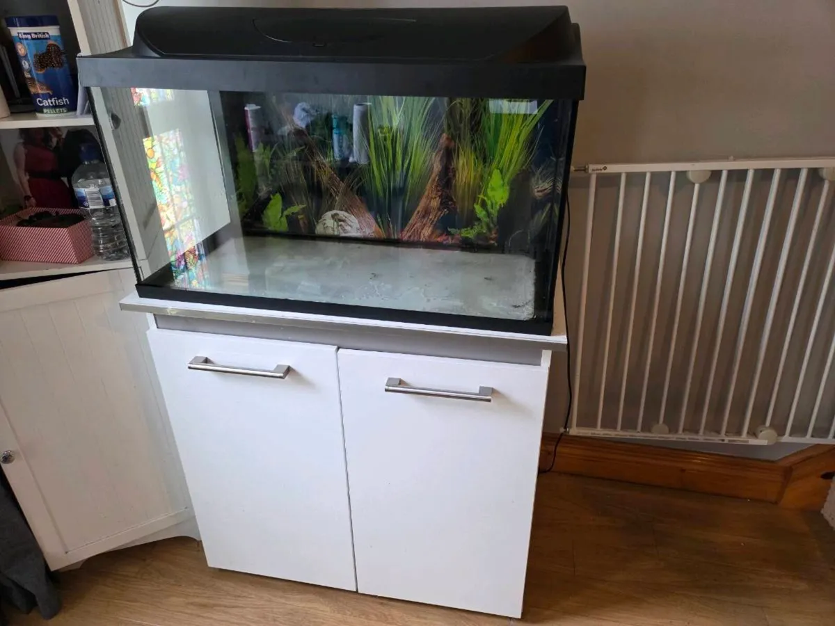 Aquarium  105L with cabinet *full setup* - Image 3