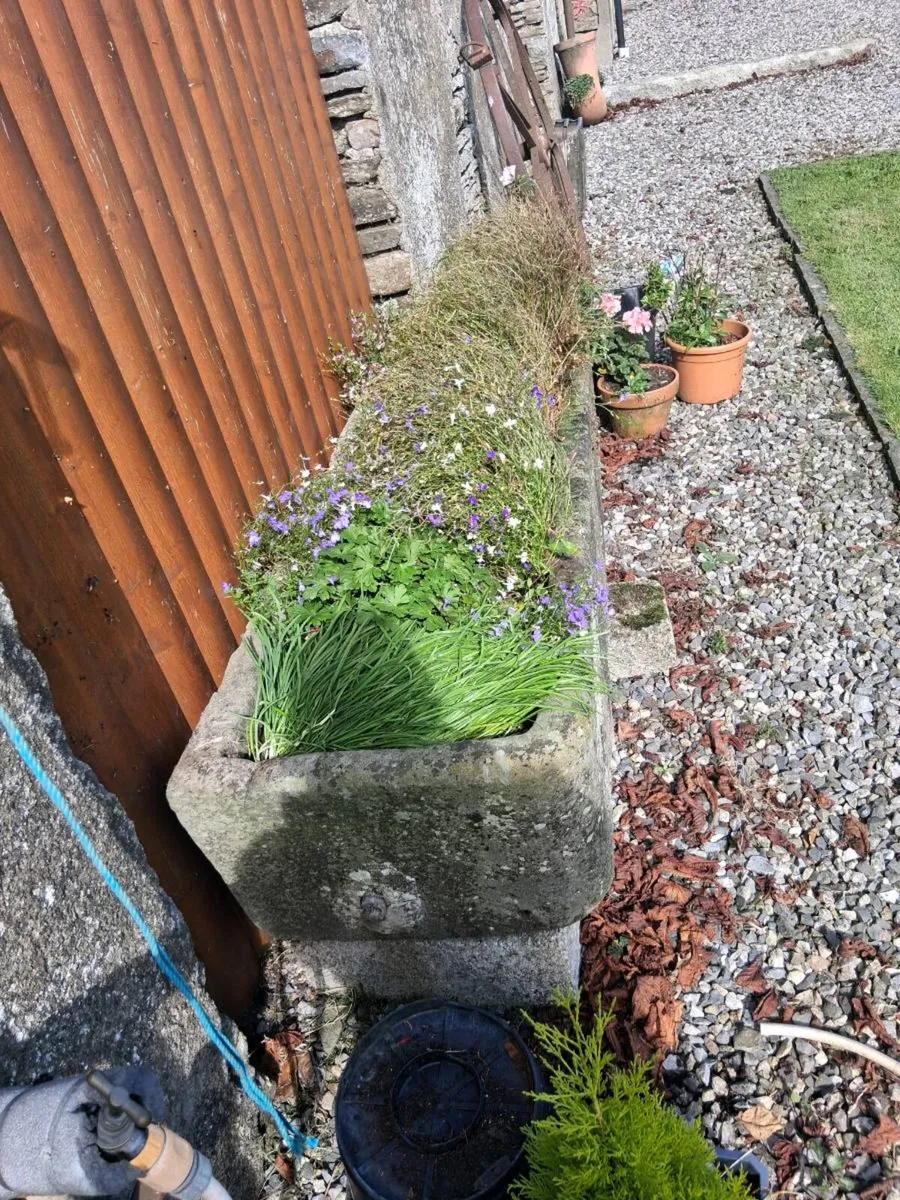 Stone trough - Image 2