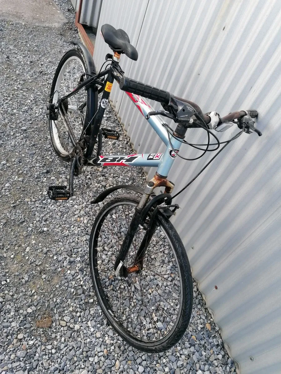 Adult Bike - Image 1