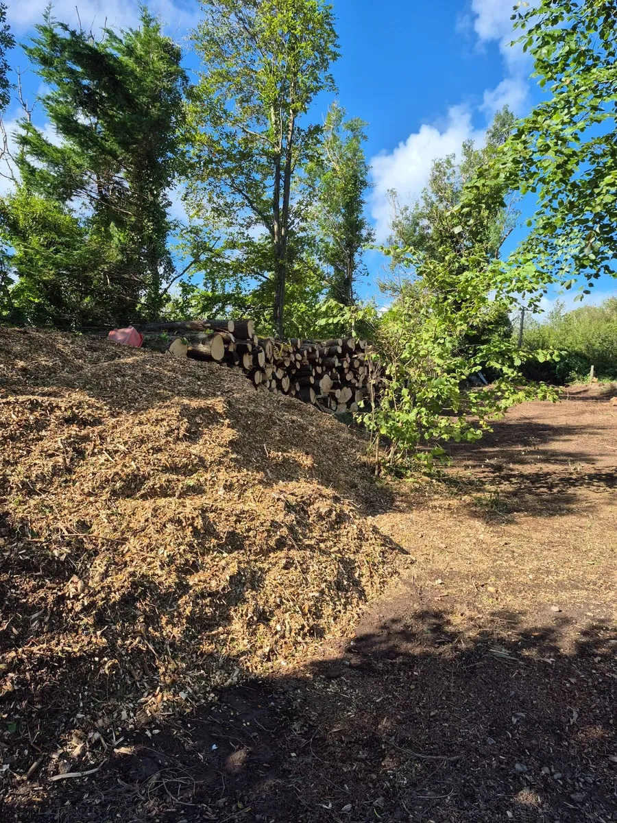 Logs - Image 1