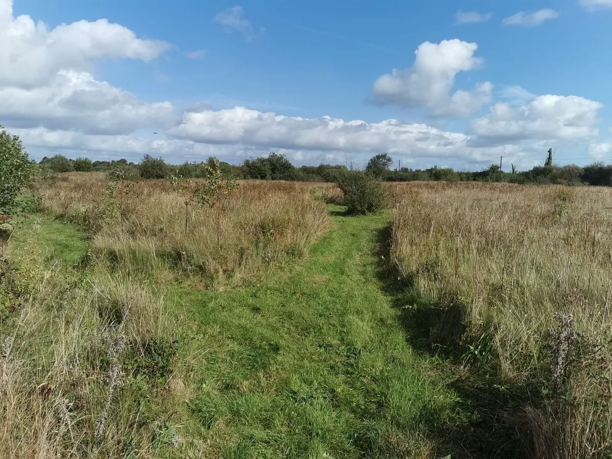Mayfield scythe fingerbar mower - Image 4