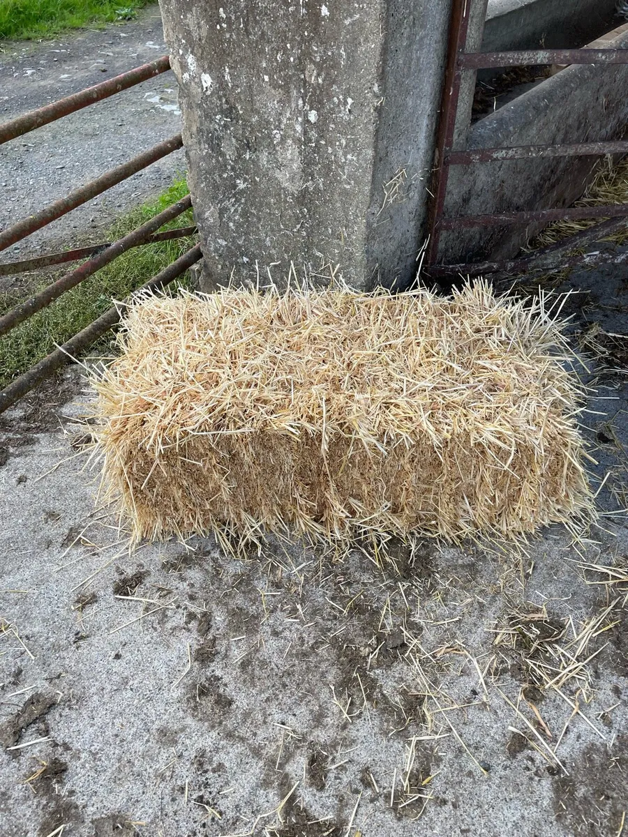 Small square straw bales - Image 2