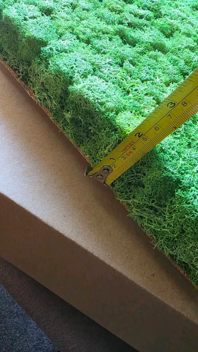 22x Premium Preserved Reindeer Moss Wall Panels - Image 4